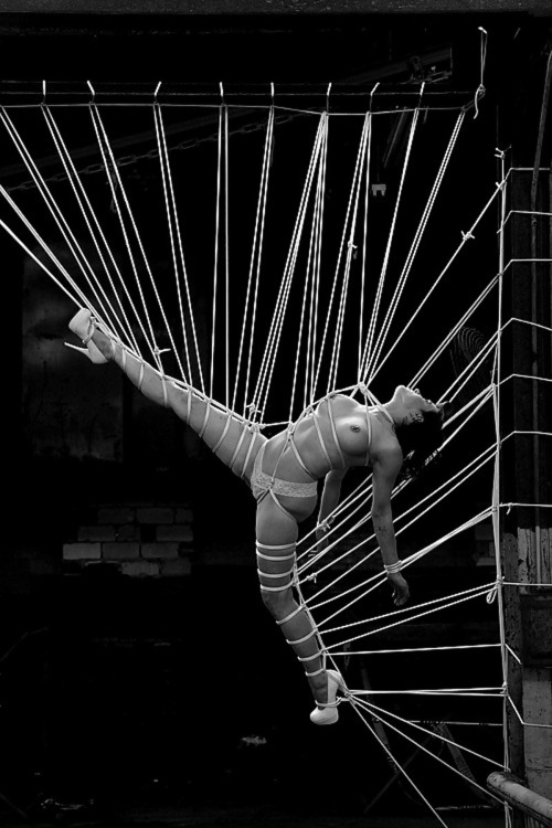 zero-patch:  …tethered to our reality… 