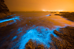 cctvnews:  It’s not a scene from the classic movie, Avatar, but exists in the city of Dalian!Glowing blue water washes up on a beach as a result of a chemical reaction called bioluminescence, which occurs when microorganisms in sea water react to oxygen.