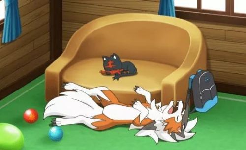 pokeaniepisodes: Evolution of Ash’s kitty & doggo Pokémon in the Sun & Moon series (◕ᴥ◕)