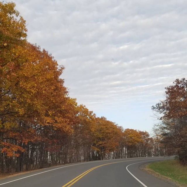 Autumn in Upstate New York, Sunday drives. 