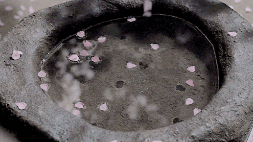 andantegrazioso:Dying petals | unknown source