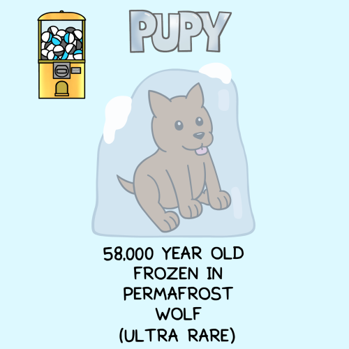 all known types of pupys in the world