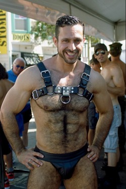 Nipples And Harness