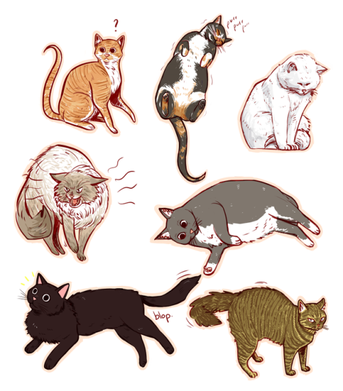 cats