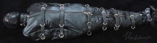 steellock:  What must this feel,like as you hear the latches click? 