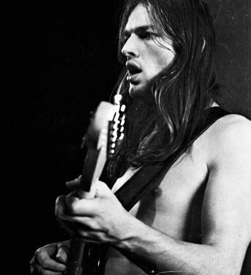 devilmuse:David Gilmour
