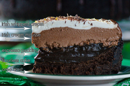 thebeardedmannextdoor: laudanumandabsinthe: sweetoothgirl:  Irish Cream Coffee Mud Pie  Good Lord  w