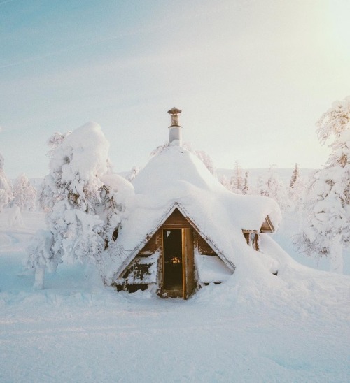 wild-cabins - LAUREN BULLEN