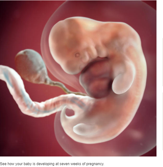 kaijuno:  feminismandmedia: tradfemmes:  A child is a person at every stage of development,