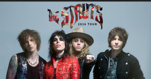 the struts