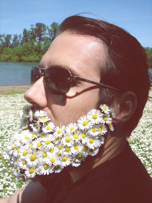 obviouslycloe:  I gave this asshole a flower beard.  gingerbeard-viking 😁😁