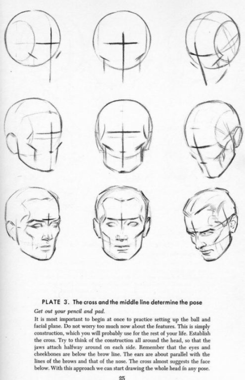 deepredroom:   How to draw heads. Good advice. I used to draw the head as one shape, put splitting it up into two, the cranium and the jaw, makes getting the shape right much easier. 