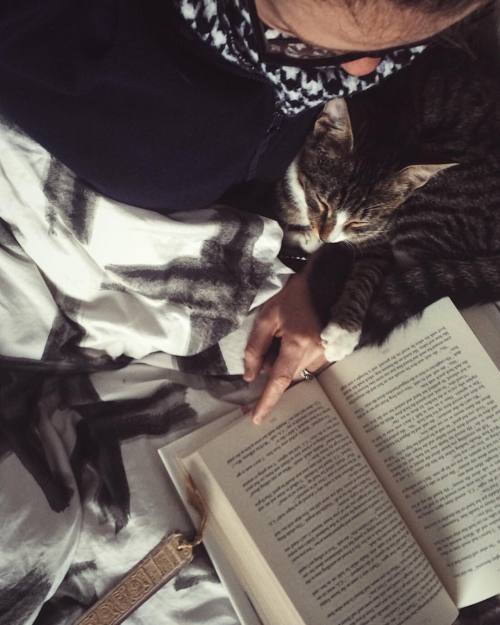 The only thing to do on a cold, rainy day