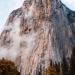 XXX hannahaspen:After the storm, Yosemite National photo