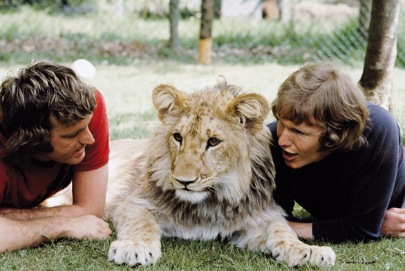 wolverxne:  "A Lion Called Christian" Christian was a lion originally