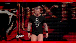 its-pitchperfect:  WWE 2K15: Randy Orton