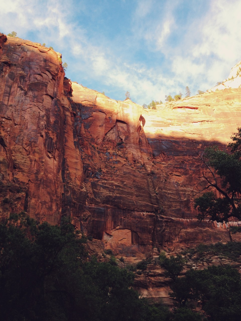 grumpygrizzlies:  Zion National Park in Utah   Been there