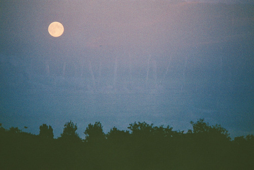 sicsen:  Glow Blog