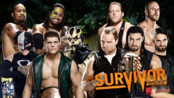 re-ne-ge:  Survivor Series 2013 Match Covers