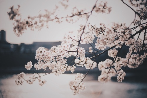 The Warmth Within Faded Memories Will Never Disappear.