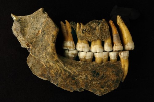 Belgian Neanderthal remains, including the world-famous Neanderthals of Spy, are thousands of years 