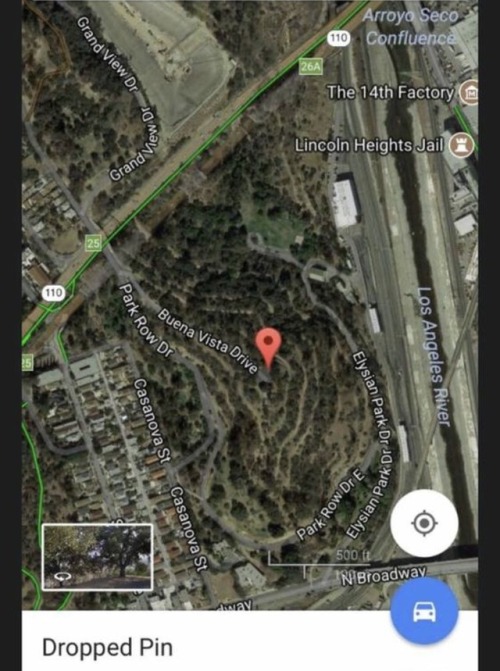 So I was told by a follower that Elysian Park is a cruising park&hellip; full of all type of guys.