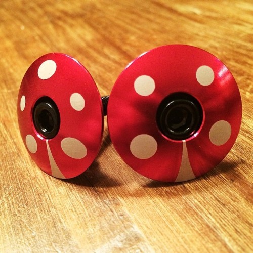 kustomcaps: Ladybugs #kustomcaps #bike #biking #cycling #mtb #mountainbiking #fixie #fixed #roadie