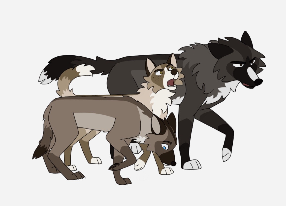 Warrior Cats Midnight Redo by BLlNK on DeviantArt