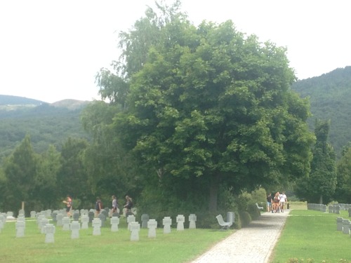 We created a treasure hunt at the German-Hungarian War Cemetery Budaörs. Wanna try it out?