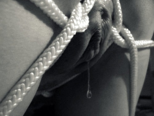 daddyinyourass:  And it’s only going to get wetter Kitten. I promise.