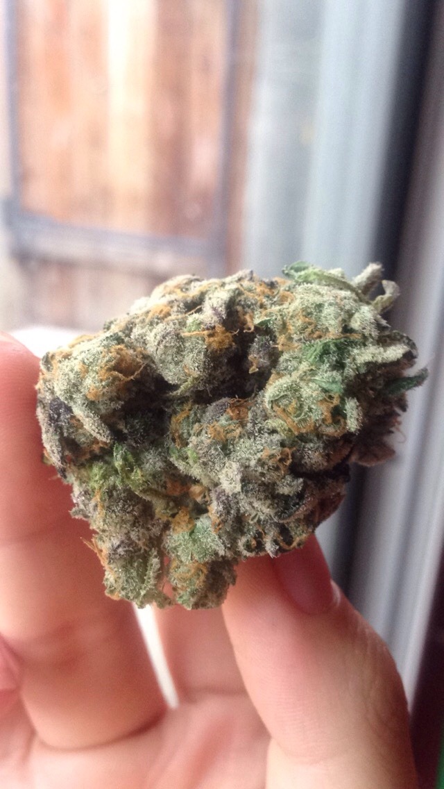 zootedtozeppelin:  Forgot about these photos of this super fire Kimchi ❤️ Super