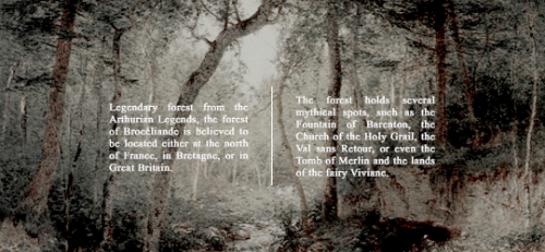 scottpilgvrim:@mythonetwork: event 3↪ favorite location: The Forest of Brocéliande