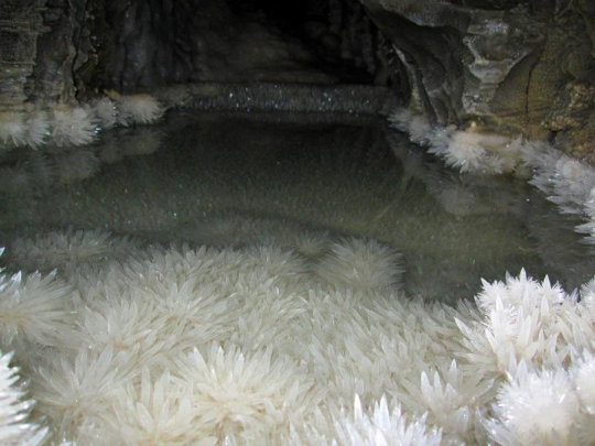 Sex tunashei:Caves are weirder and more varied pictures