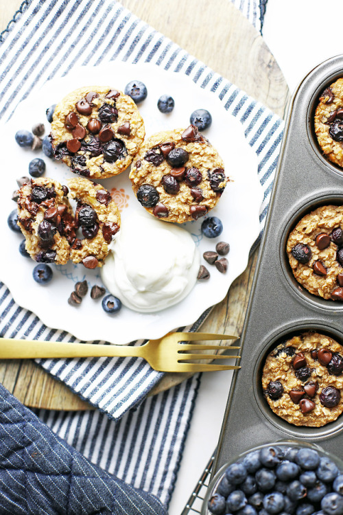 BLUEBERRY CHOCOLATE OATMEAL CUPS - Loaded with hearty oats, fresh blueberries, and delicious chocola