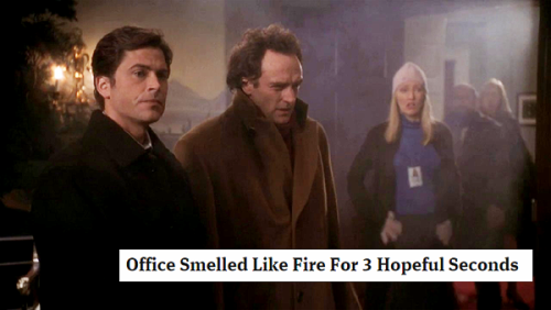 Sex lizdexia:The West Wing + The Onion headlines, pictures