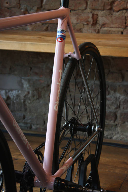 standertbikes: Standert C.R.E.A.M. rose