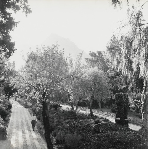 Peter Hujar Public Garden, Taormina, Sicily 1959