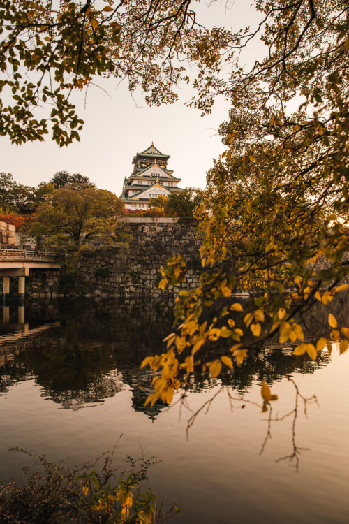 Sunday 5th November 2017. 14:30 Osaka Castle Park.Osaka Castle Park (大阪城公園 Osaka-Jō-Kōen) is a publi