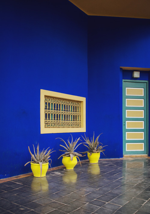 shevyvision:  the famous majorelle blue of the majorelle gardens of marrakech this is morocco! 