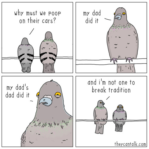 theycantalk:  pigeon logicfacebook // signed prints