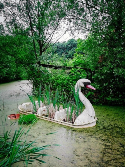 The Swans of Spreepark