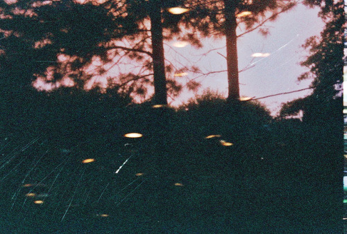 myhideoutw0rld: scratched film of trees at sunset by Samantha Marina on Flickr.