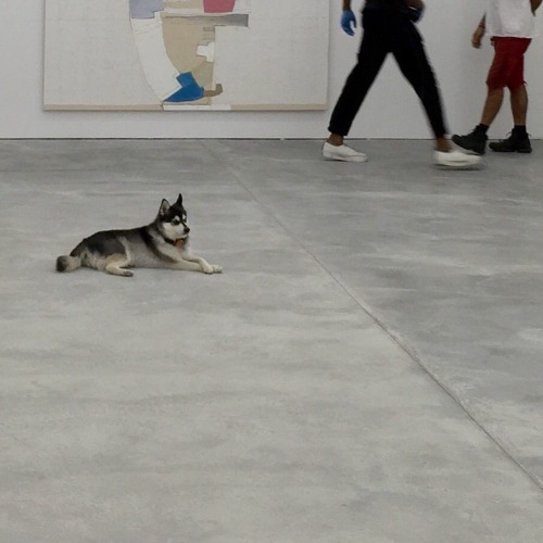 cowboybeboops:constable-connor:this is my favorite piece in the gallery.sadpepesigh