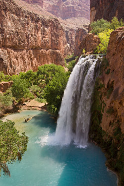 heyfiki:  Havasu Falls  Havasu Falls near Supai, Arizona. The water is blue/green due to high concentrations of dissolved lime picked up as the water runs through the sedimentary rock of Havasu Canyon and the Grand Canyon. 