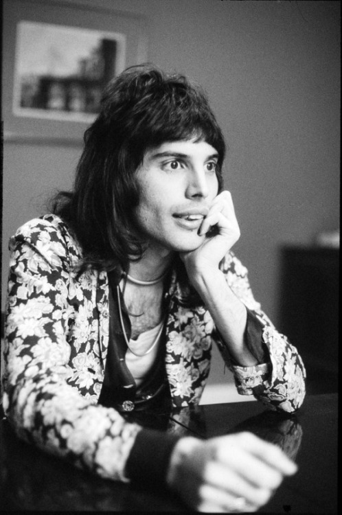 lucyyboynton:A Freddie Mercury Appreciation Post