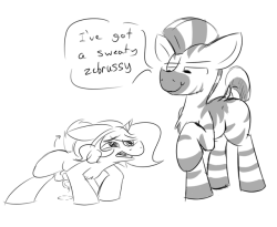 starry5643:actual footage of a smol horse around a big stripe &gt;w&gt;