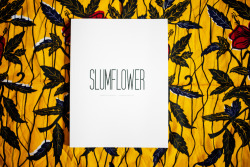 beyondfabric:  Slumflower - A Short by Street