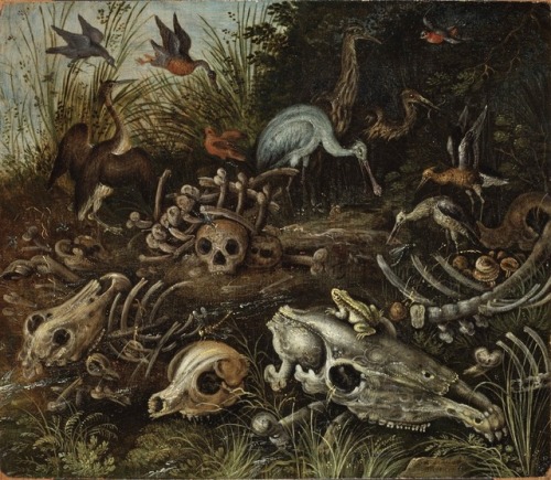 starxgoddess:Roelandt Savery (1576–1639), Memento mori