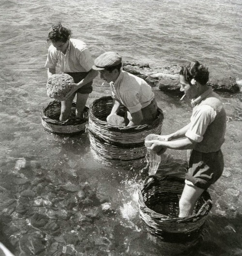 Collecting sponges ashore, one of the oldest greek professions - Aegina 1950