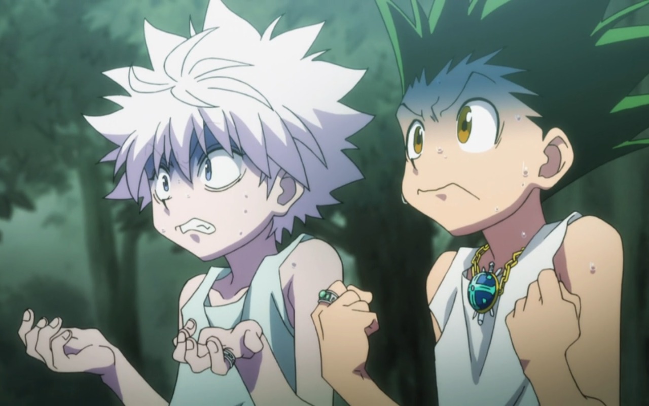 ponta-no-sake:  oi, Hisoka!! stop lookin at their ass!  